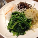 韓国焼肉料理 楽園亭 - ナムル盛り合わせ
