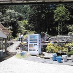 金太郎自然園 - 風景