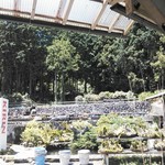 金太郎自然園 - 風景