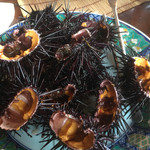 魚山人 - 生雲丹ですよ〜(^^)