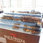 レッドロブスター - 