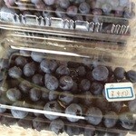 北アルプス牧場 - 