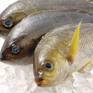 二代目 ぐるめ亭_0