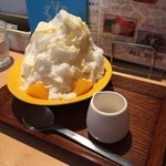 きりん食堂 - S氷

長崎名物のシースクリームをかき氷にしました☆とうたい文句に惹かれました。
ふわふわのかき氷でペロリといけました (*´ڡ`●)
