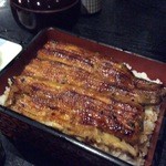 Unagi Idumi - 