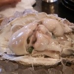 まるさん屋 - 岩カキ(201507)