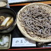 やまひら禅味そば
