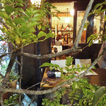 セレニータ - トネリコの奥に小さなテラス