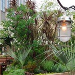 40203897 - ビアガーデンは植物に囲まれて