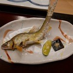 蔵六鮨 三七味 - 【徳島の若鮎】◎2015/6