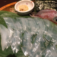 寅八商店 心斎橋店 - 泳ぎイカ