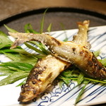 と村 - 白神山地赤石川の金鮎の塩焼き...ひとり２尾！