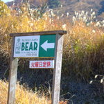 BEAR - そらいろのたねから４ｋｍ地点にあるforest cafe BEAR 看板