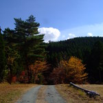 BEAR - 秋のforest cafe BEAR 