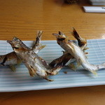 鮎料理の店 鮎の里 - 養殖の生き鮎です