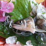 鮎料理の店 鮎の里 - 生き鮎です