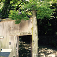 THE SODOH HIGASHIYAMA KYOTO - 2015/5月 ランチ訪問
