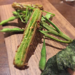 ル スプートニク - 