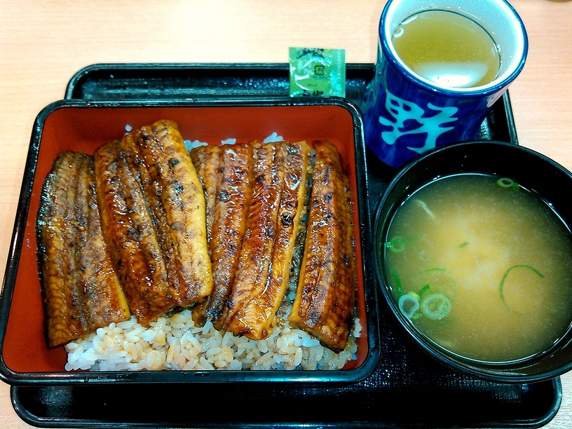 吉野家 藤枝小石川店 name=