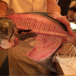 さえ喜 - 2015.7 真魚鰹