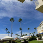 ホテルのお庭。日本じゃないみたい。ココって和歌山なの？みたいな？(笑)