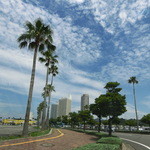 こんな道を通って到着♪