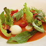 ガスパチョのジュレ仕立て、モッツァレッラ、ミニトマト、天使の海老、アボカド