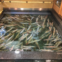 稚加榮 本店 -  イカ入荷したらしい