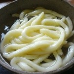 丸富　本店 - 冷しうどん