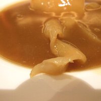 筑紫樓 銀座店 - ふかひれの姿煮込み・アップ