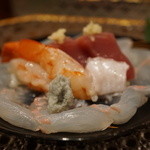 さ行 - 2015年7月刺身