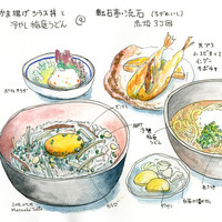 逸品料理屋 流石 - 釜揚げシラス丼と冷やし稲庭うどん