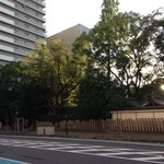 フリーダム ロード - H.27.7.25.夜 有名な開口神社の東側です