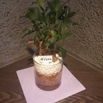 マルオン - 【2015-7】