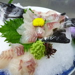 海鮮料理 美加茂 - 石鯛の姿造り