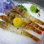 海鮮料理 美加茂 - もさえびのお刺身