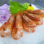 海鮮料理 美加茂 - 甘えびのお刺身