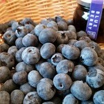 フレッシュフルーツファクトリー FRUTICO - 季節限定農園直送ブルーベリー(青果)