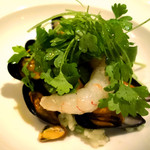 コションローズ - 20131201