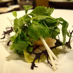 コションローズ - 20131201