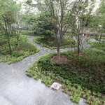 キャトルラパン - お店から緑が見えて素敵☆