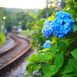 湘南茅ヶ崎 幸福餃子 - 2015年7月吉日