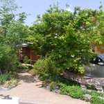 せきざわ - 2010年５月：小布施の街はガーデニングに力をいれているそう。