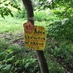 農家レストラン みのりの里 - 鳥よけの糸が張ってあるるで注意して下さい