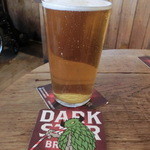 The Evening Star - Hophead/Dark Star￡3.30