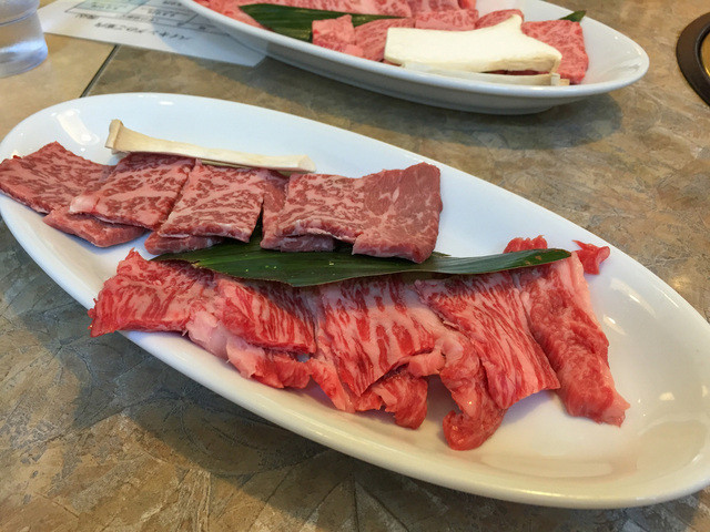 Contact Nagashino photo 2