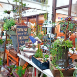 코치 카페 - 店内です。植物の販売もされています。