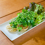 餃子cafe&bar-蒼- - 