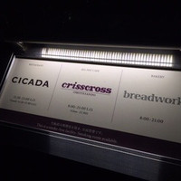CICADA - 