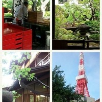 東京 芝 とうふ屋うかい - 